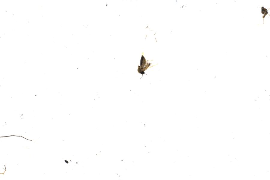 Image 93